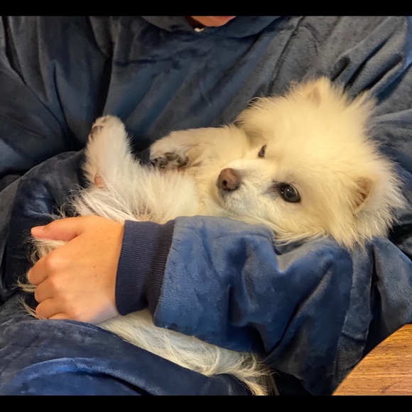 Meet your Posher, Patricia - Picture 11 of 13